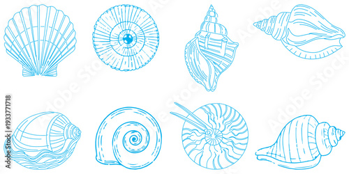 Set Collection of sea shells and starfish on white background eps 10