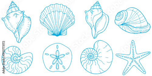 Set Collection of sea shells and starfish on white background eps 10