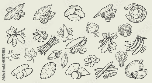 Variety of garden vegetables: a compilation of hand-drawn garden vegetables with intricate details, showcasing the diversity of fresh, natural produce from the garden. 