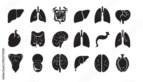 collection of black and white illustrations of human body organs