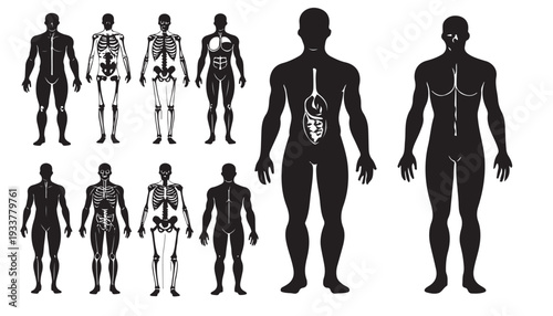 Black vector silhouettes of diverse people standing and walking together in a group illustration