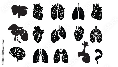 Set of internal human body Silhouette 