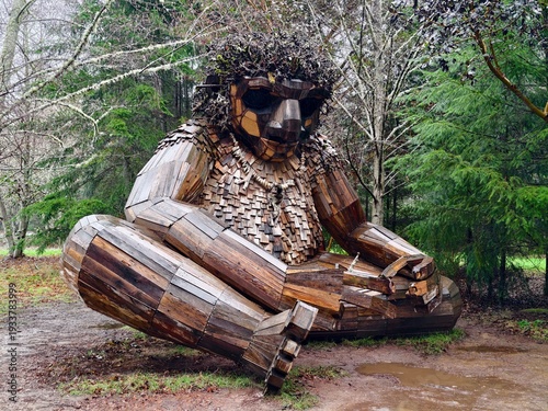 old man in the forest