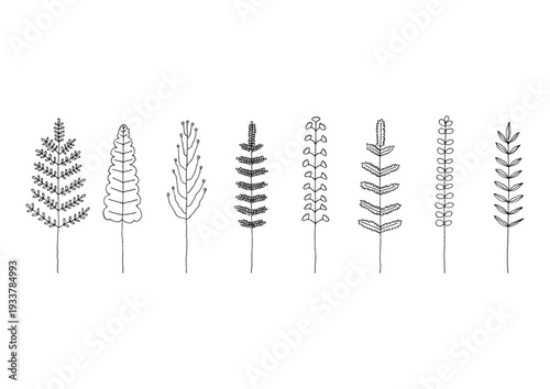 シダやソテツ等の植物をイメージした手描きの線画イラストセット2（黒）