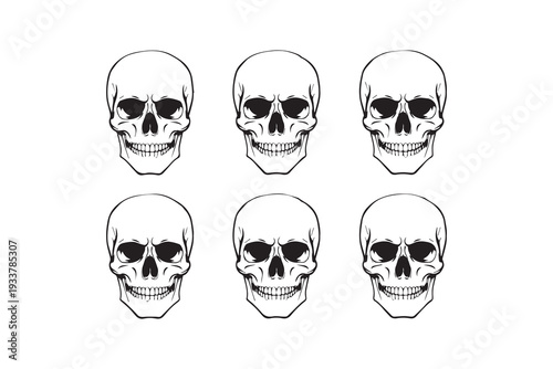 Cartoon style vector illustration of skulls and crossbones with bones. leaf and floral decoration. tattoo, halloween