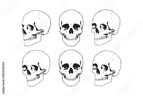 A cartoon-style illustration of skulls and bones forming a scary black symbol 
