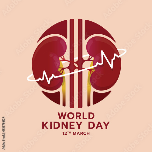 World kidney day - circle kidney with white line Heart rhythm wave roll around vector design