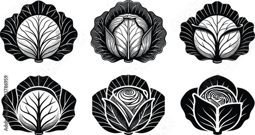Vector Set of Six Minimalist Cabbage Icons in Black and White Linocut Style for Healthy Food Logos Organic Farming Labels and Vegetable Graphics