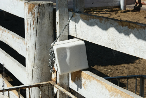 Canvastavla Trace mineral salt block or Salt lick suspended in a pen for balanced diet of cattle