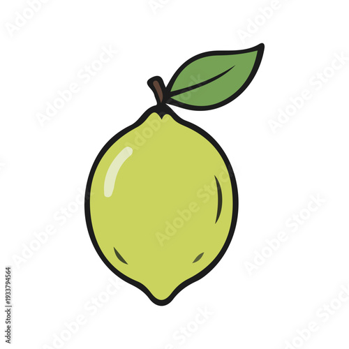 Hand Drawn Lemon Illustration