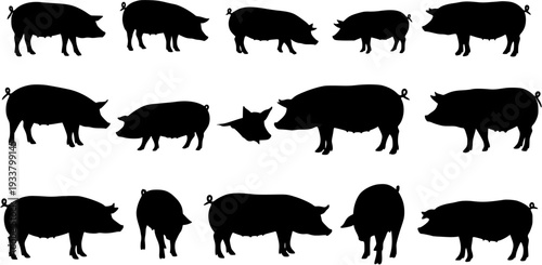 Black Pig Silhouettes Collection. Farm Animal Livestock Graphic in Various Poses on White Background.