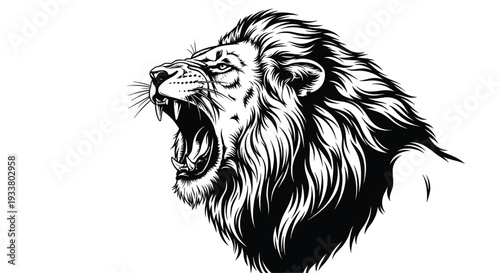 A fierce lion roars loudly with its mouth open wide