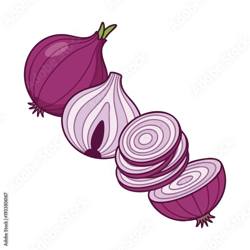 Red Onions Whole, Halved, and Sliced Illustration
