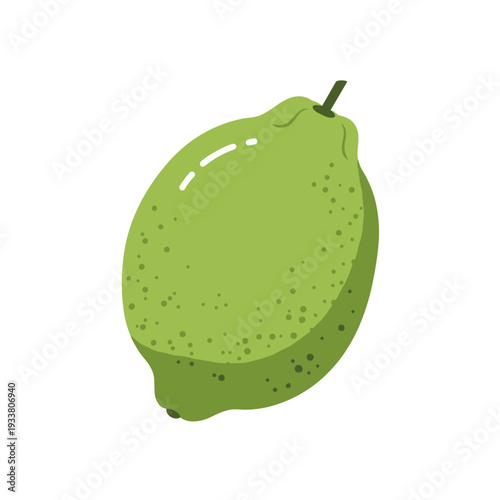 Single Vibrant Green Lime Fruit Illustration.