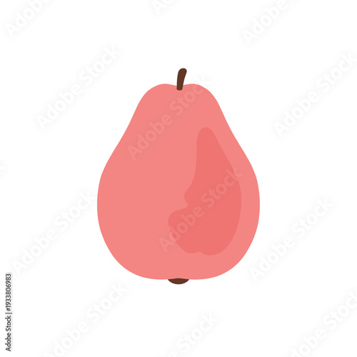 Stylized Pink Guava Fruit Illustration.