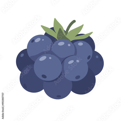 Single Juicy Blackberry with Green Calyx Close Up.