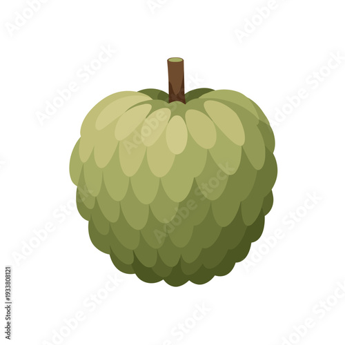 Stylized Green Sugar Apple with Scaly Texture and Short Brown Stem.