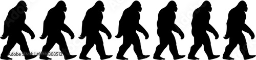 Black silhouettes of Bigfoot or Sasquatch figures walking in a row, a mysterious procession of mythical forest creatures.