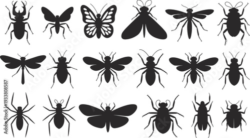 Black and white insect silhouette set featuring beetles, butterflies, bees, flies and spiders isolated vector illustration collection for entomology and nature design