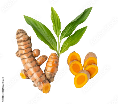 fresh turmeric roots and leaves isolated on white background.