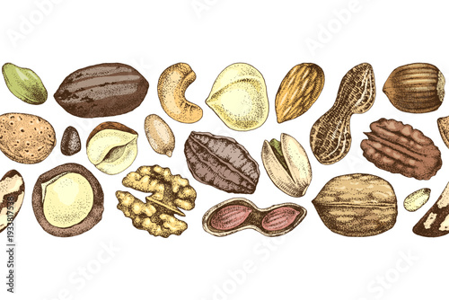 Wallpaper Mural Nut mix hand sketched seamless border Torontodigital.ca