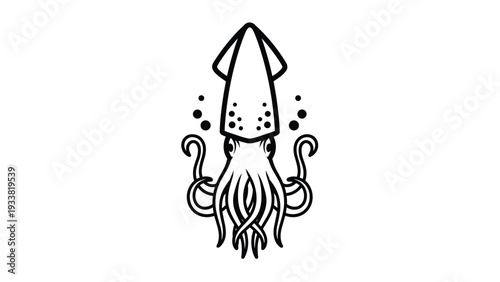 Black and white line art illustration of a squid seen from a top-down view, featuring symmetrical tentacles and a pointed mantle head.