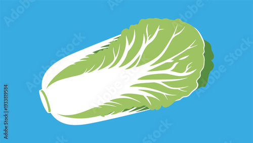 Fresh napa cabbage with pale green leaves and white stalks, positioned diagonally against a vibrant blue background for food themes.