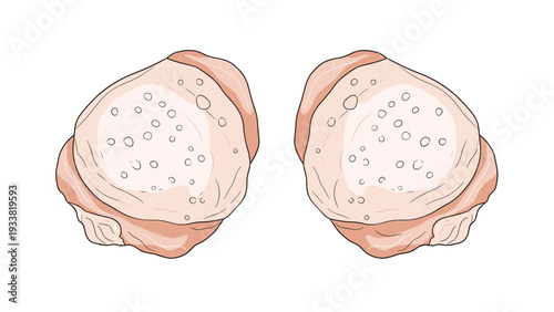 Two pieces of raw chicken meat or breast shown from a top-down perspective, featuring light pink tones and a textured surface detail.