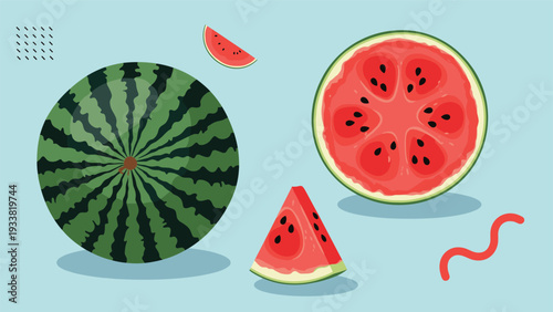 Vibrant collection of fresh watermelon illustrations including a whole fruit, a half, and various small wedges on blue.