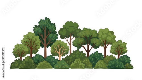 A charming and simple illustration of a small, dense grove of various green deciduous trees and bushes on a white background.