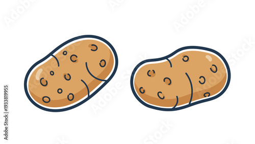 Two organic raw brown potatoes with detailed skin textures isolated on a white background for food and cooking ingredients.