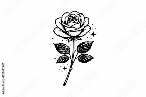 A single rose with leaves and stars, illustrated in black and white, on a simple background, viewed from the front.