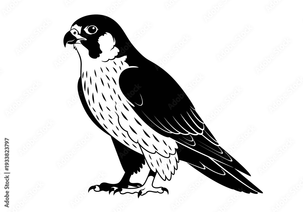 Obraz premium A black and white illustration of a bird of prey facing left It has sharp talons