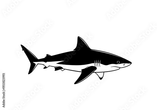 A black and white illustration of a shark The shark is facing right with details such as fins and gills