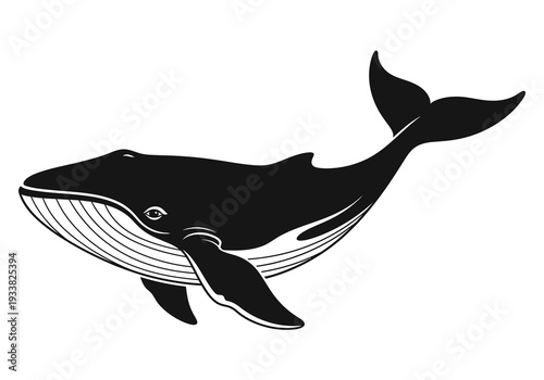 A stylized black and white whale illustration