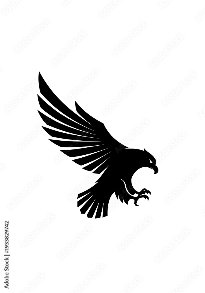 Obraz premium Shadow Wings, Silent Descent