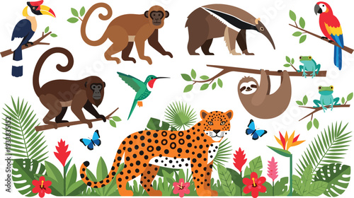 Tropical rainforest animals illustration with monkey sloth leopard toucan parrot frogs and butterflies, colorful jungle wildlife vector set