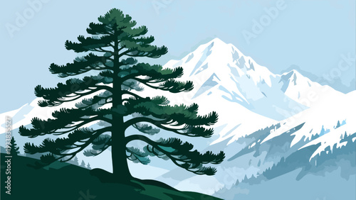 winter forest landscape