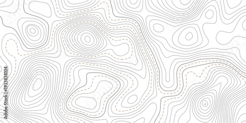 Topographic map background geographic line map with elevation assignments. Modern design with White background with topographic wavy pattern design.Abstract bacground. Vector illustration
