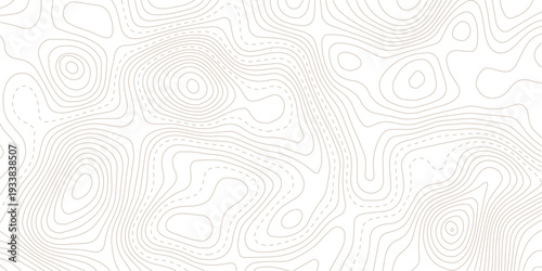Geography landscape Topo contour map on white background,Geographic line map with elevation assignments. Contour background geographic grid. Vector illustration.