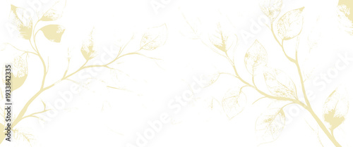 Light yellow floral branches with delicate leaves and buds on a white background