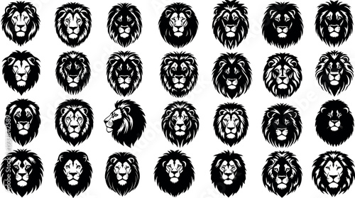 Collection of varied lion heads in black and white