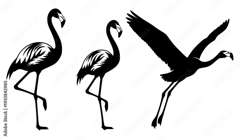 Obraz premium Tropical flamingo silhouette vector pack isolated on white