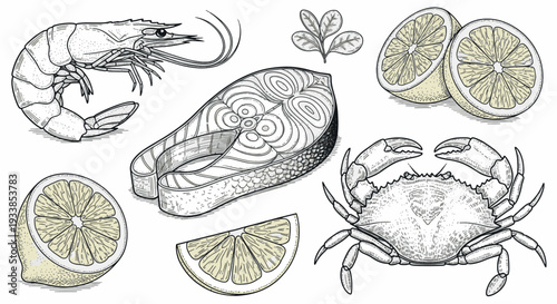 Vintage Seafood Engravings