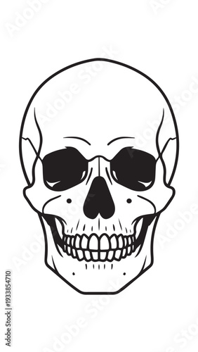 Front view skull illustration with hollow eye sockets and grinning teeth for graphic artwork.