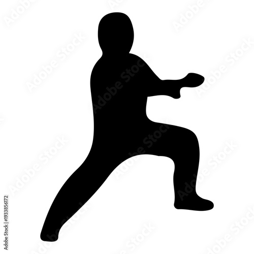 Martial Arts Silhouette Icon