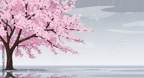 Pink Cherry Blossom Tree in Gentle Rain, Reflection