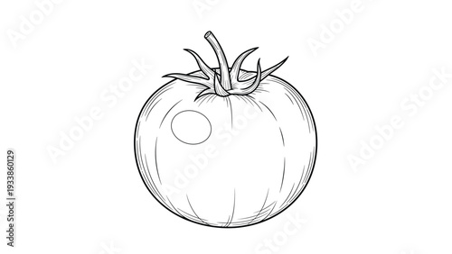 Simple black and white line art illustration of a whole fresh tomato with a detailed leafy stem and light reflections on the skin.