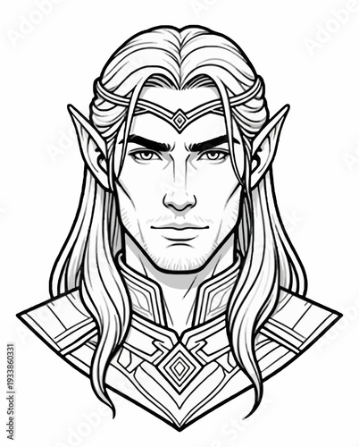 An elf male character with long hair and armor is depicted in a detailed illustration from a front viewpoint