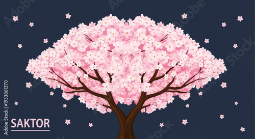 Blooming Cherry Blossom Tree in Full Bloom